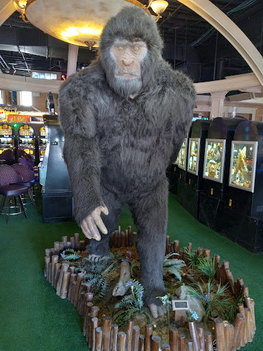 Casino «Sasquatch Casino», reviews and photos, 125 Gregory St, Black Hawk, CO 80422, USA