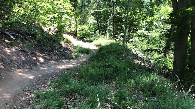 Kommentare und Rezensionen über Arlesheim Biketrail Trailnet Kiste