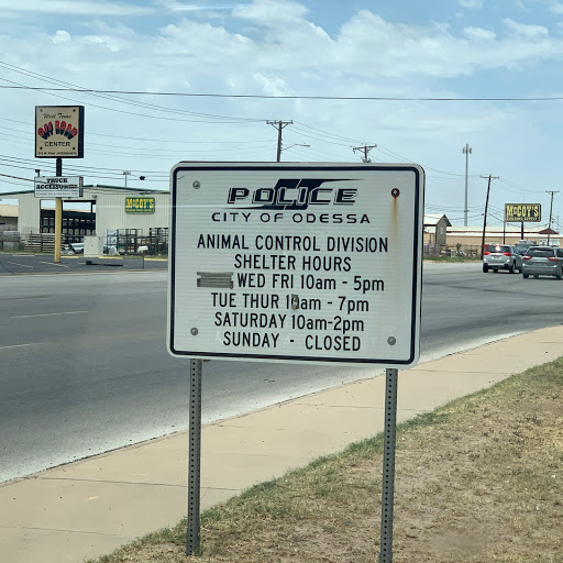 Animal Control Service «Animal Control», reviews and photos