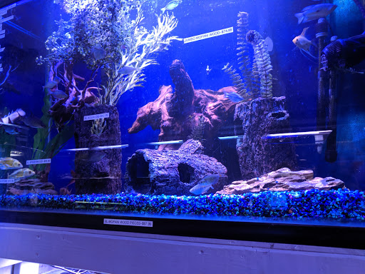 Pet Store «Aquarium Designs», reviews and photos, 15229 San Pedro Ave, San Antonio, TX 78232, USA