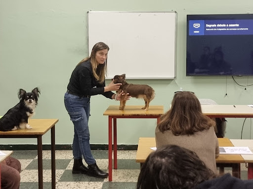 Pensioni per cani e dog hotel a Le Terme di Fido di Meggiorini Chety