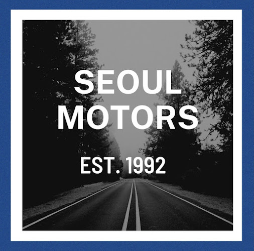Comments and reviews of Seoul Motors (Panel & Paint)