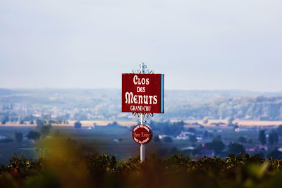 Clos des Menuts à Saint-Émilion