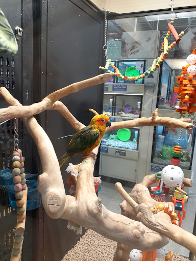 Pet Supply Store «PetSmart», reviews and photos, 1183 Berkshire Blvd, Wyomissing, PA 19610, USA