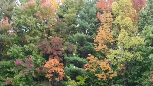 Concert Hall «Jam In the Valley», reviews and photos, 1629 US-20A, Varysburg, NY 14167, USA