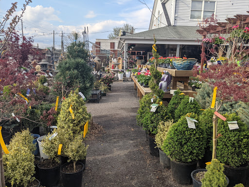Market «Rising Up Garden Center, Landscape Design, & Florist», reviews and photos, 1314 St George Ave, Avenel, NJ 07001, USA