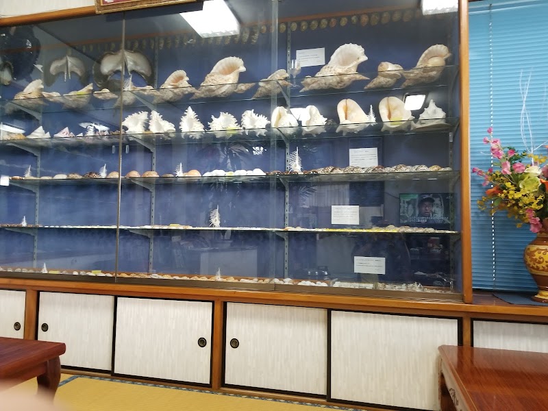 ペンション タカラガイ 沖縄県宮古島市平良久貝 日本の格安宿泊施設 宿泊施設 グルコミ