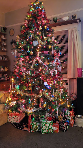 Discount Store «Dollar General», reviews and photos, 819 Bridge St, Colusa, CA 95932, USA