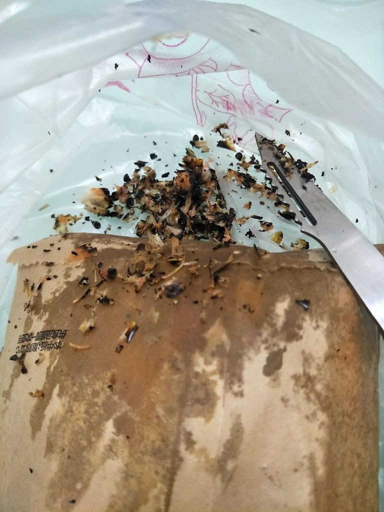 豐收王國 的照片