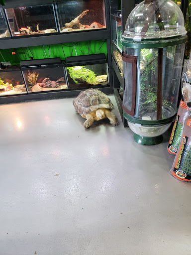Pet Store «Parker Exotic Pets», reviews and photos, 17880 Cottonwood Dr, Parker, CO 80134, USA