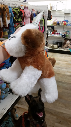 Department Store «HomeGoods», reviews and photos, 8200 Renaissance Pkwy #103, Durham, NC 27713, USA