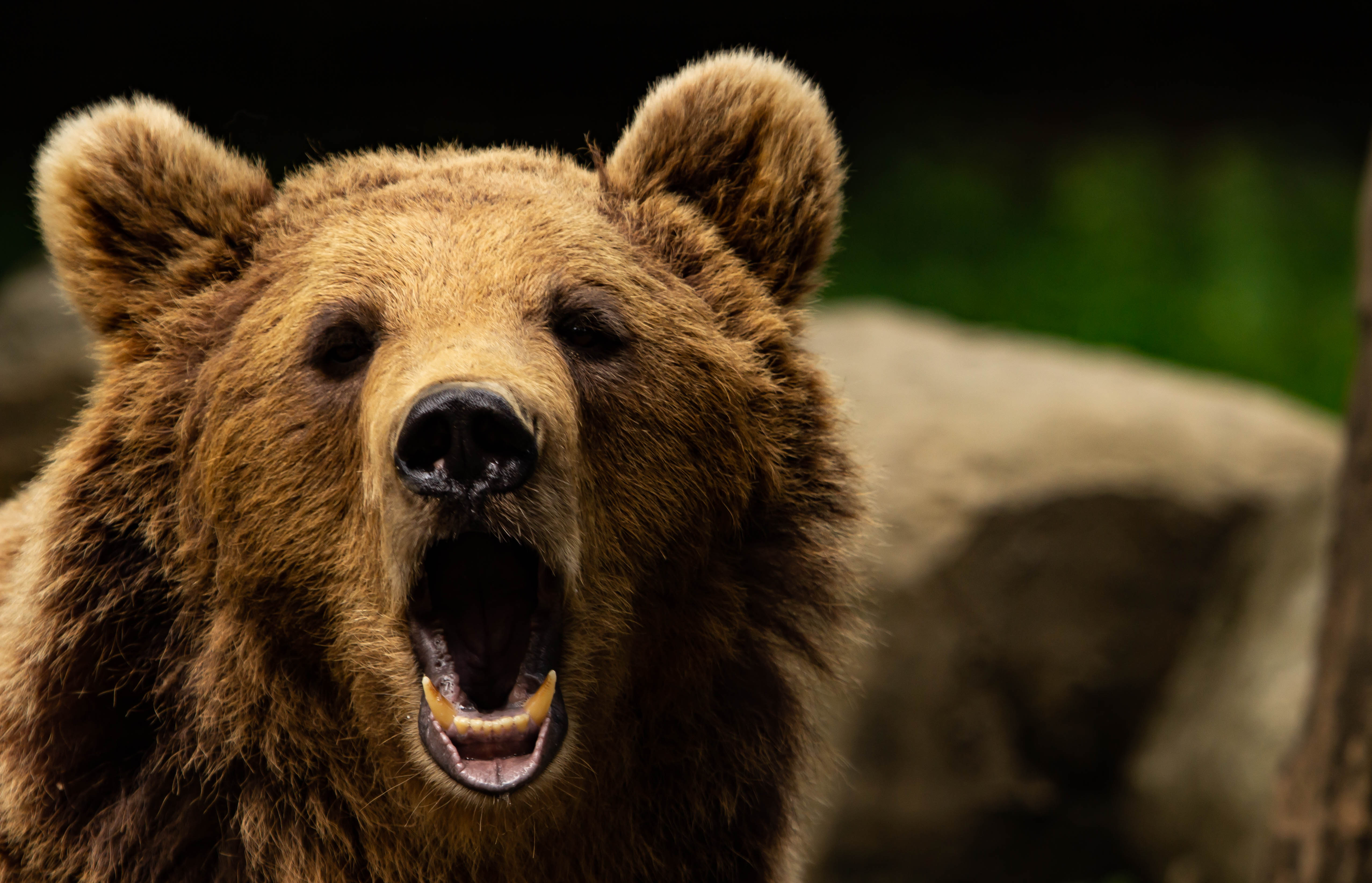 Photo n° 2 de l'avis de Tim.n fait le 11/01/2022 à 18:54