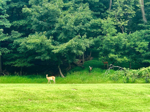 State Park «Hook Mountain State Park», reviews and photos, N Rte 9W, Nyack, NY 10960, USA