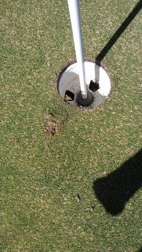 Private Golf Course «Bayou Club», reviews and photos, 7979 Bayou Club Blvd, Largo, FL 33777, USA