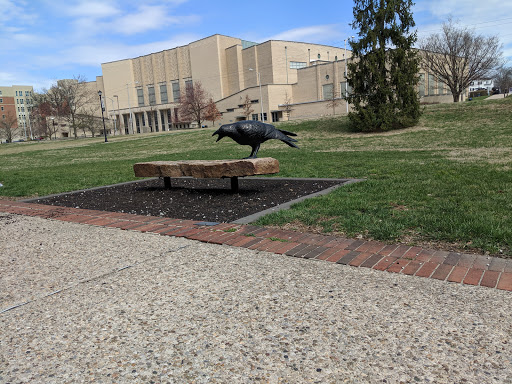 Art Museum «University of Kentucky Art Museum», reviews and photos, 405 Rose St, Lexington, KY 40508, USA