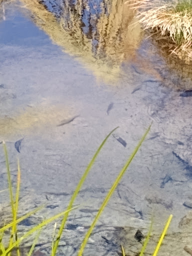 National Park «Lake Mead National Recreation Area Headquarters», reviews and photos, 601 Nevada Way, Boulder City, NV 89005, USA