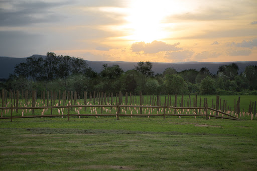 Wedding Venue «Faithbrooke Barn and Vineyards», reviews and photos, 267 Elgin Dr, Luray, VA 22835, USA