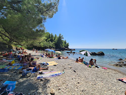 Little Maljevik Beach'in fotoğrafı düz bir kıyı şeridi ile birlikte