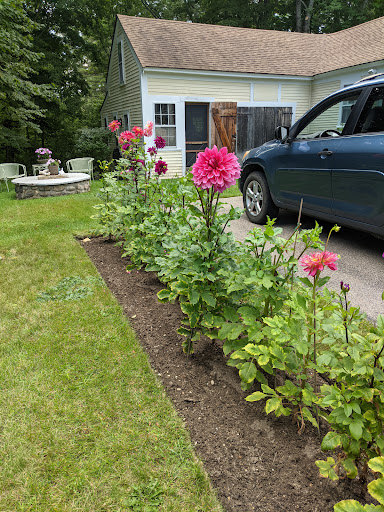 Antiques at Moultonboro