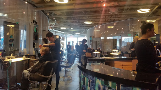 Hair Salon «Antonino Salon & Spa», reviews and photos, 191 Townsend St, Birmingham, MI 48009, USA