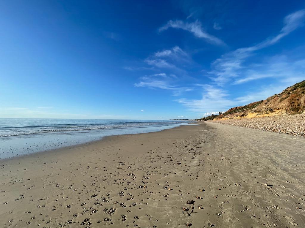 Zdjęcie Sellicks Beach z powierzchnią turkusowa czysta woda