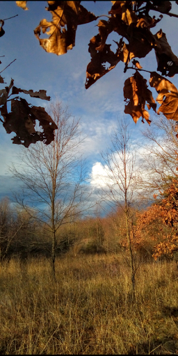 Nature Preserve «Al Sabo Land Preserve», reviews and photos, 6310 Texas Dr, Kalamazoo, MI 49009, USA