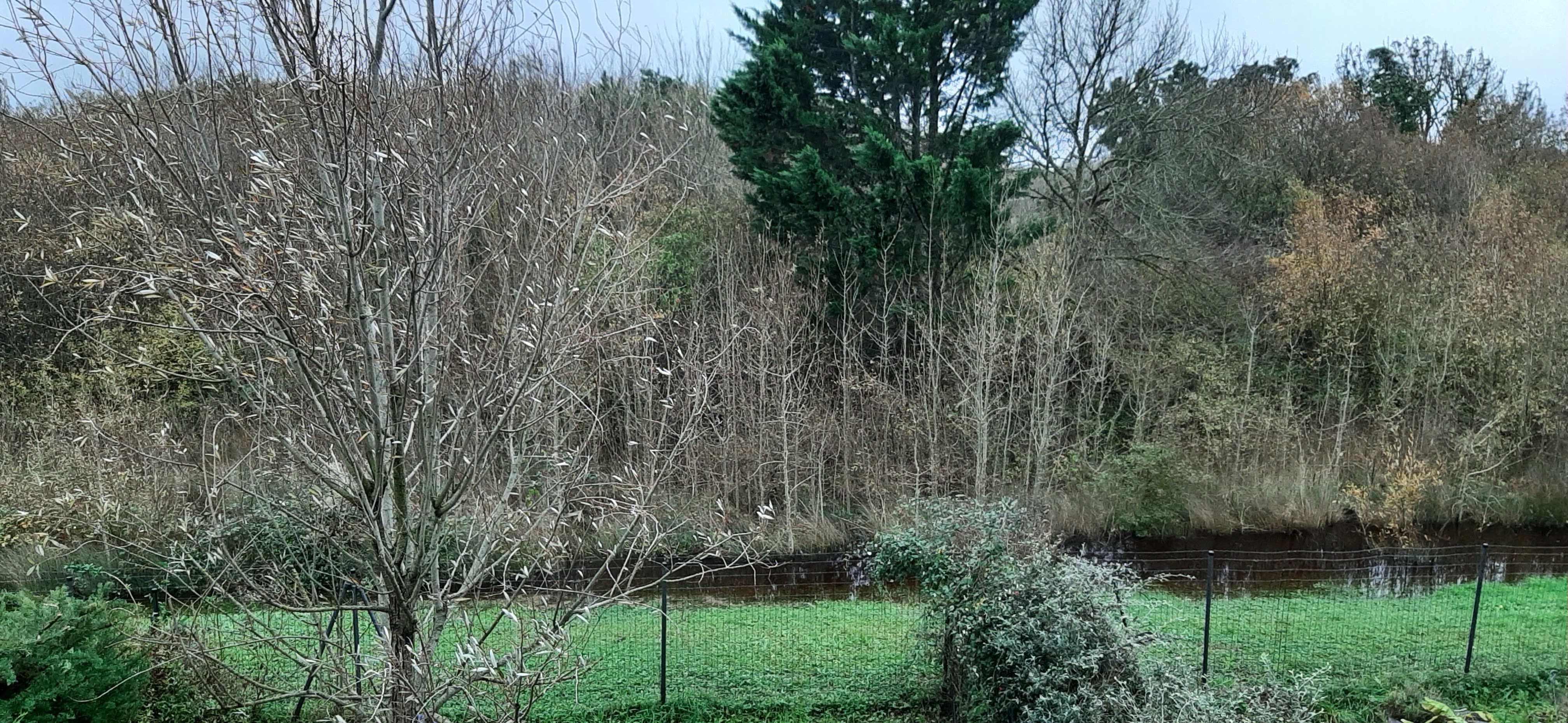 Photo n° 1 de l'avis de mt.o fait le 16/12/2023 à 12:20