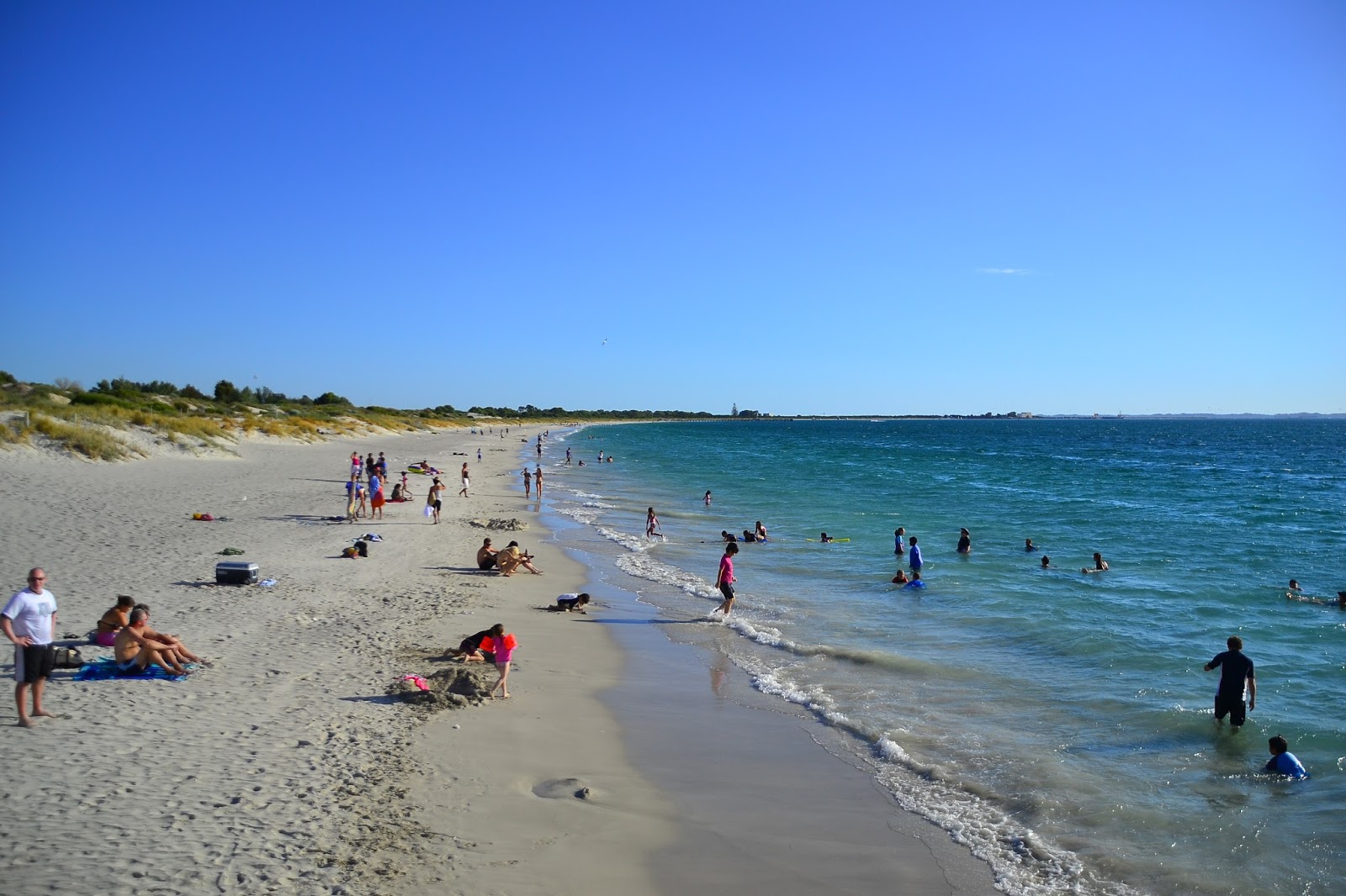 Φωτογραφία του Coogee Beach και η εγκατάσταση