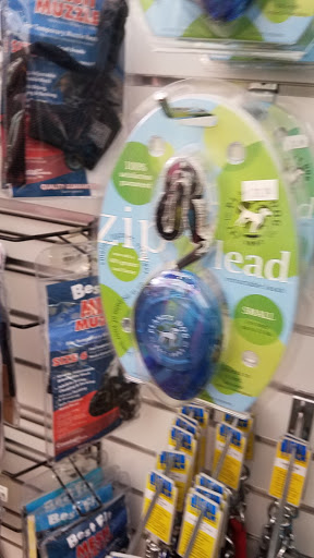 Animal Shelter «One of A Kind Pet Rescue», reviews and photos, 1929 W Market St, Akron, OH 44313, USA