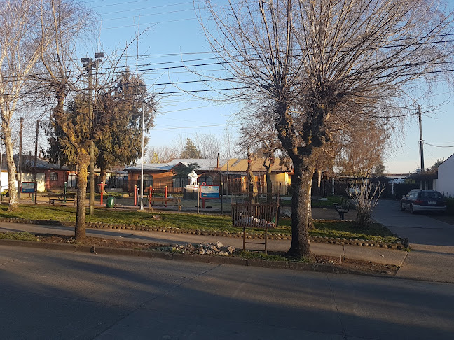 Plaza Violeta Parra - Gimnasio
