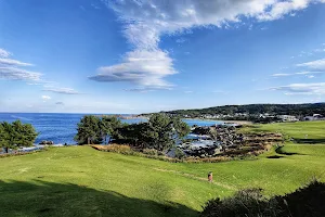 Tanesashi Coast image