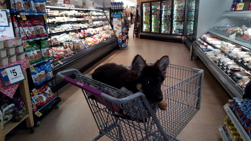 Supermarket «Super Stop & Shop», reviews and photos, 454 Fort Salonga Rd, Northport, NY 11768, USA