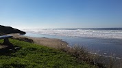 Yaquina Art Association