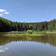 Spruce Pond