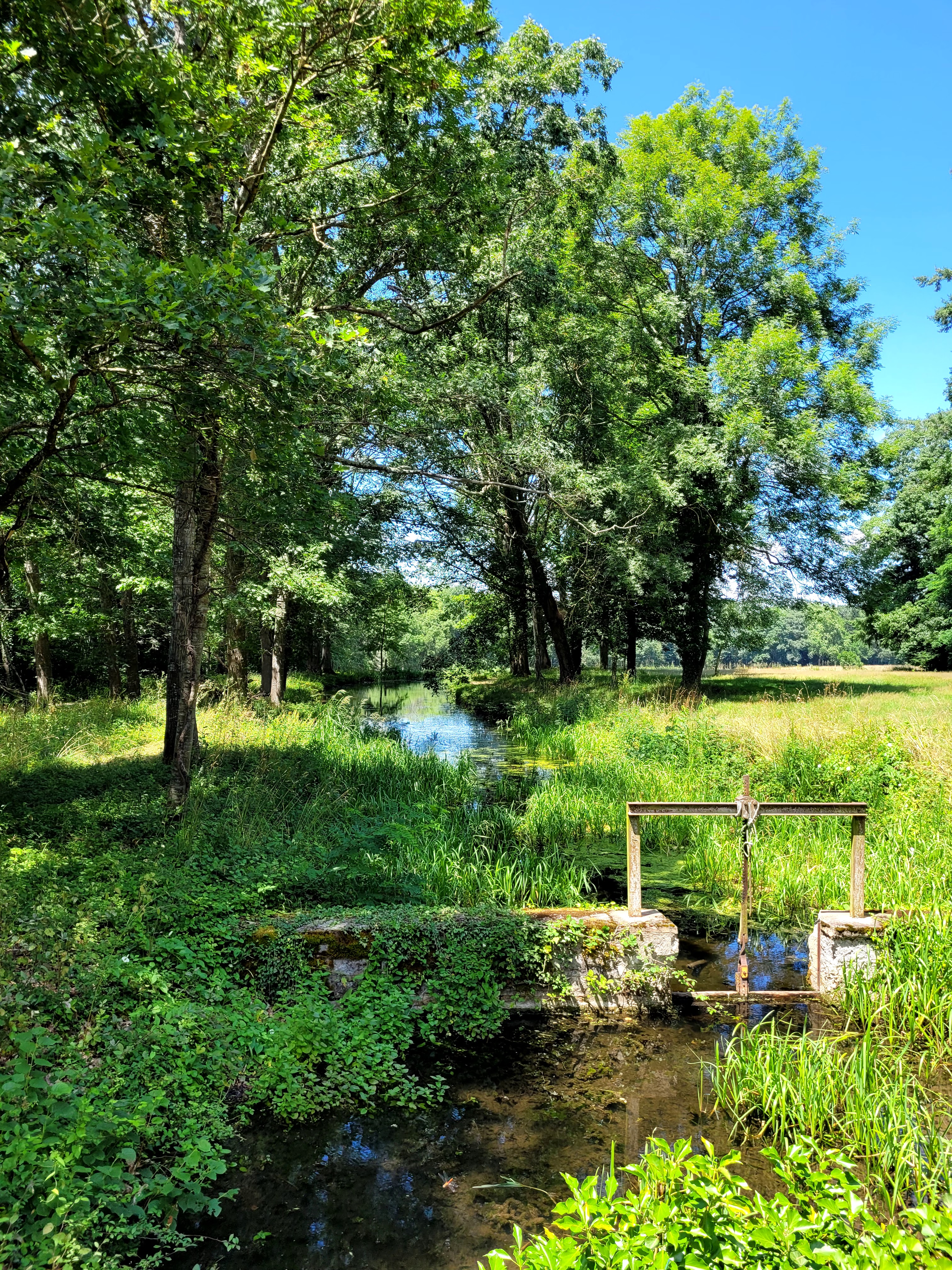 Photo n° 6 de l'avis de Michèle.i fait le 11/12/2022 à 12:04