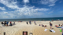 Sandy Neck Plajı'in fotoğrafı doğal alan içinde bulunmaktadır