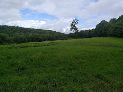 Pierre Pendant à Ouroux-en-Morvan