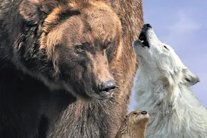 Grizzly & Wolf Discovery Center image