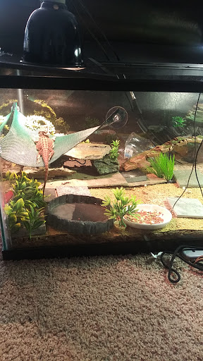 Pet Supply Store «PetSmart», reviews and photos, 24 Mountain Rd, Glen Burnie, MD 21060, USA