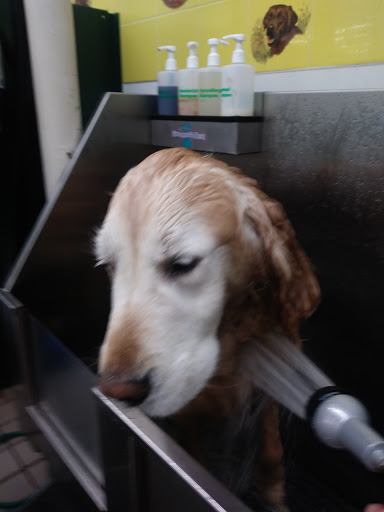 Pet Supply Store «Pet Supplies Plus», reviews and photos, 2433 MacArthur Rd, Whitehall, PA 18052, USA