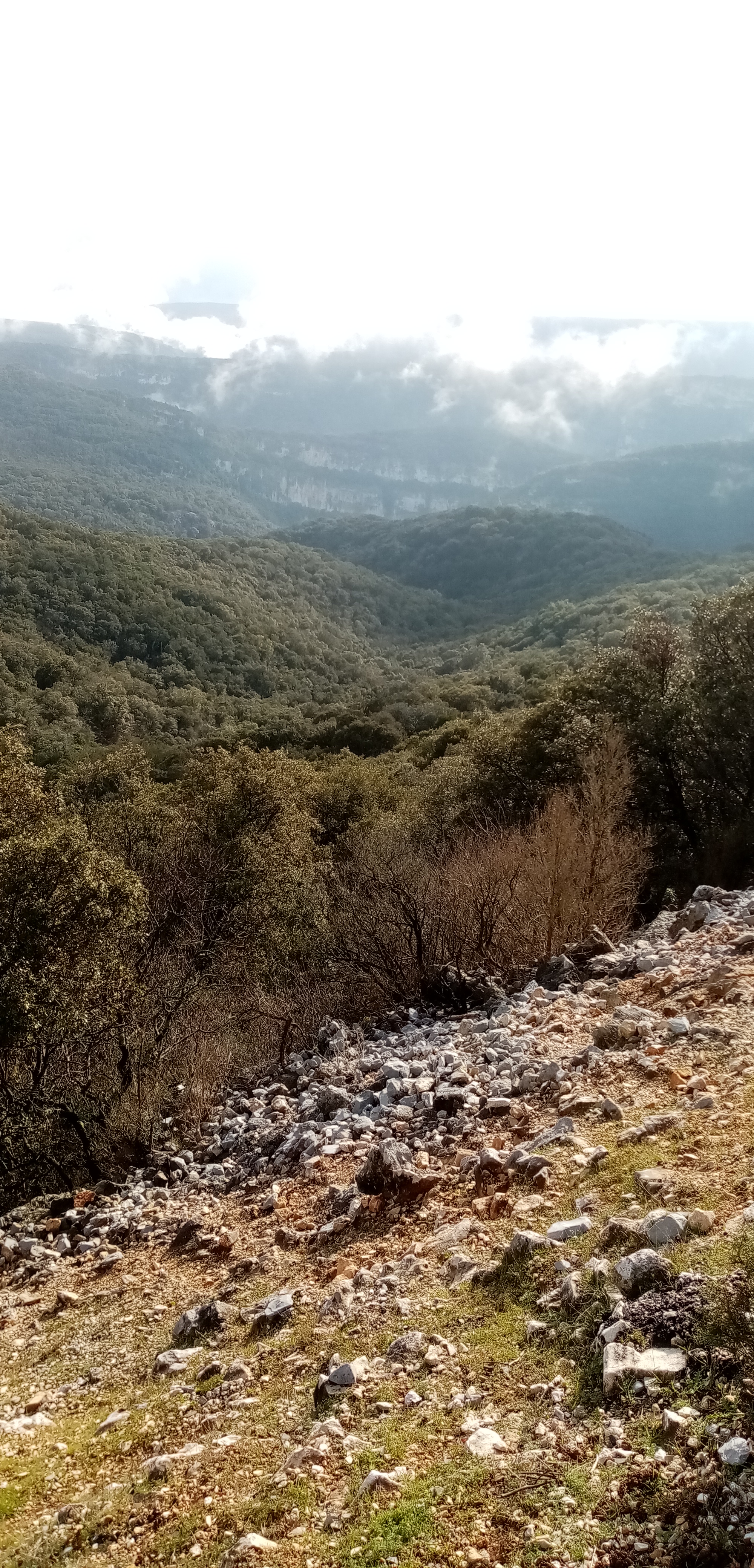 Photo n° 32 de l'avis de Fabrice.o fait le 27/01/2020 à 21:43