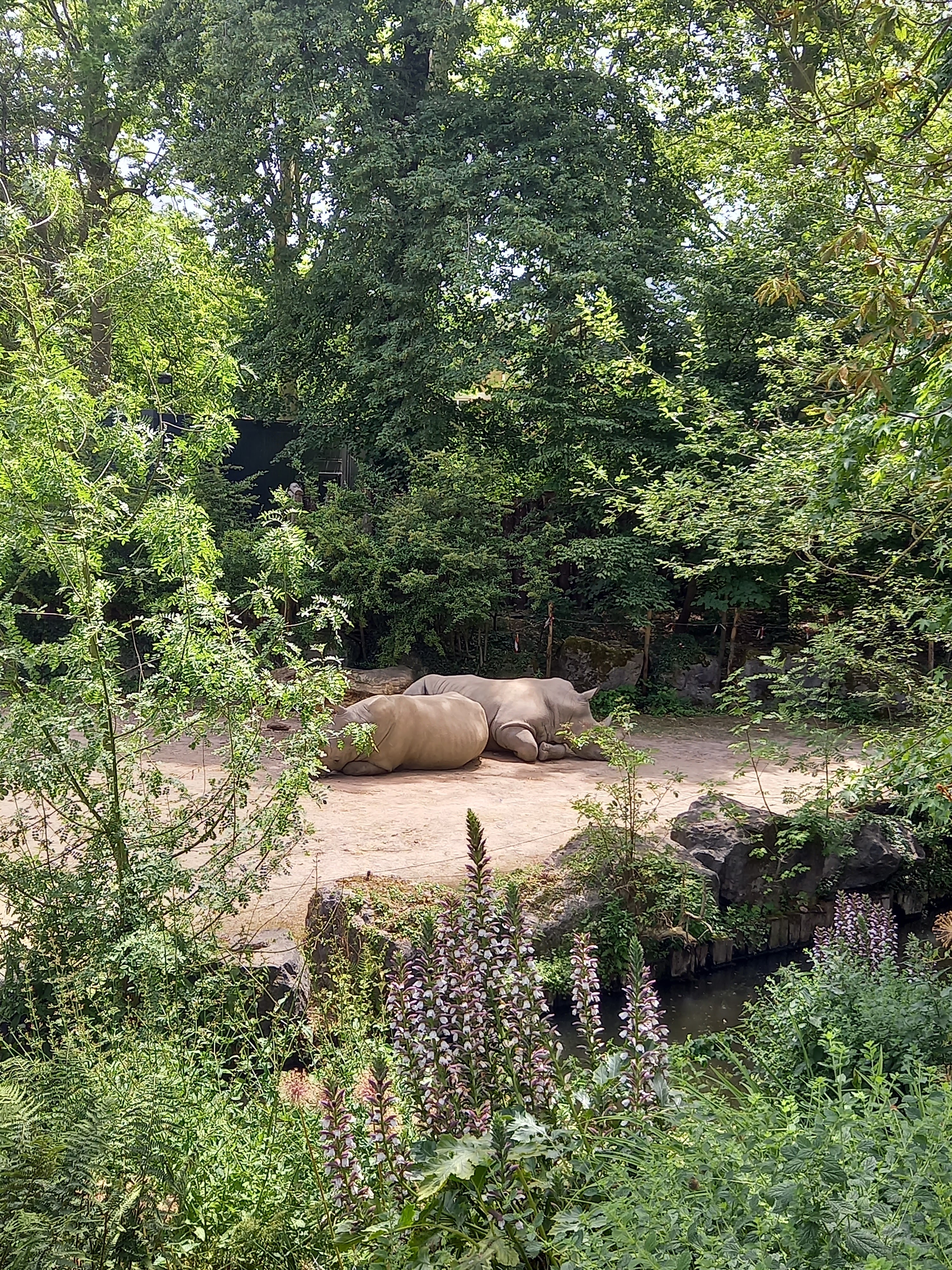 Photo n° 11 de l'avis de Metin.k fait le 18/06/2022 à 14:47