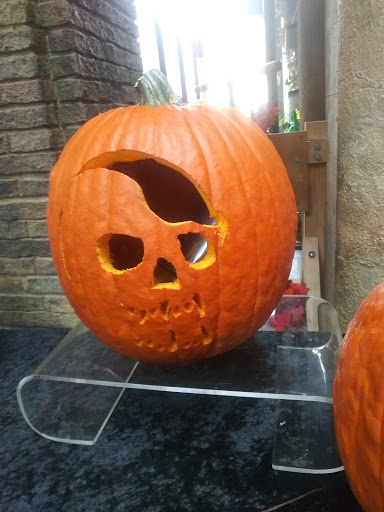 Culinary School «The Restaurant School at Walnut Hill College», reviews and photos