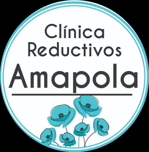 Clinica Reductivos Amapola 100%Manual - La Serena