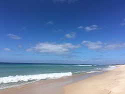 Foto di Lavinia Beach con costa lunga e dritta