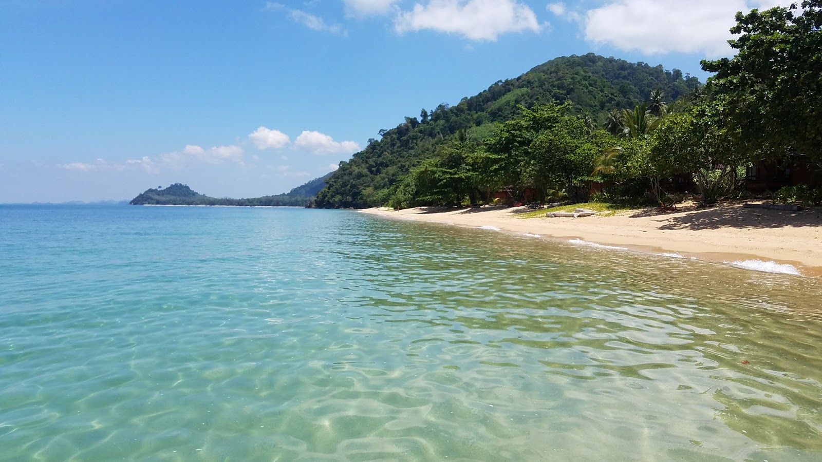 Wild beach'in fotoğrafı ve yerleşim