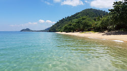 Wild beach'in fotoğrafı ve yerleşim