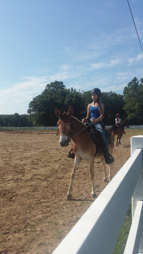 Fairground «Owen County Fairgrounds», reviews and photos, S East St, Spencer, IN 47460, USA