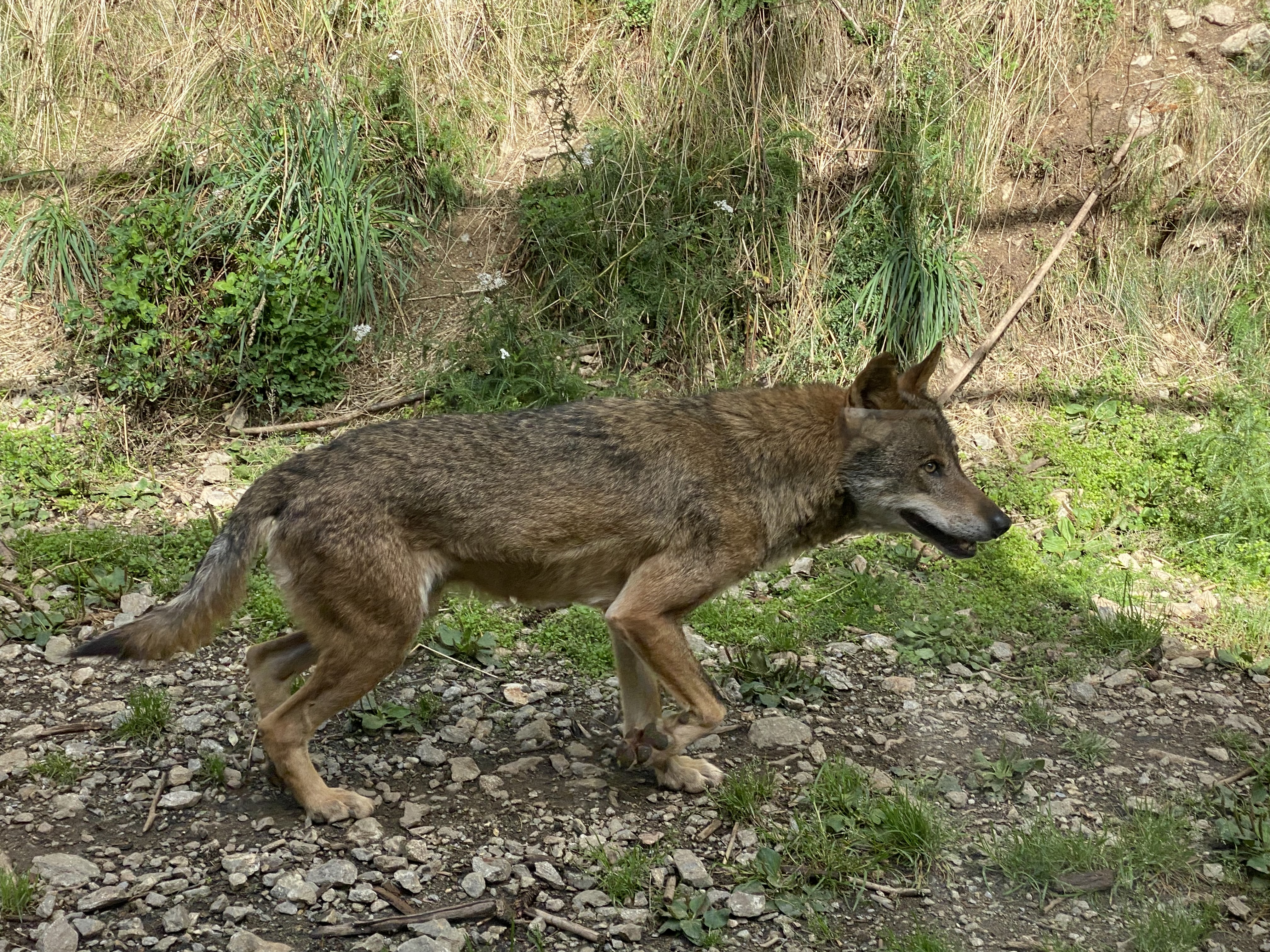 Photo n° 1 de l'avis de Karine.L fait le 01/10/2023 à 09:50