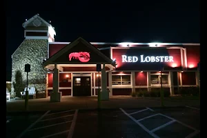 Red Lobster image